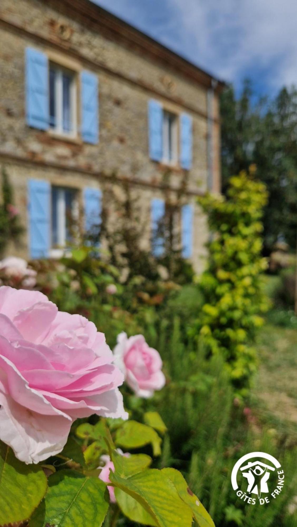 Aux Roses De Cedres Chambre Savane Salvagnac 외부 사진